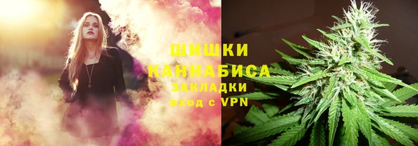 мдпв Снежинск