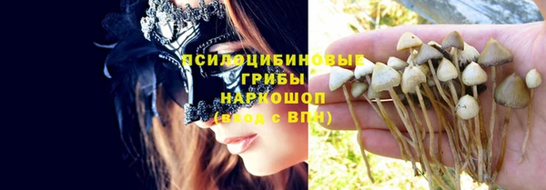 apvp Семилуки