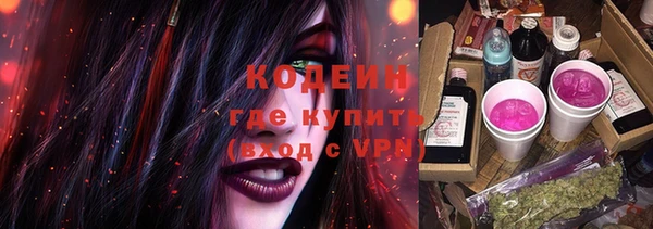 apvp Семилуки